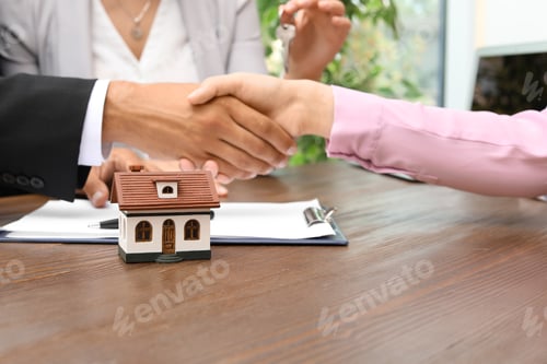 Preview: Man shaking hands with real estate agent on meeting over table