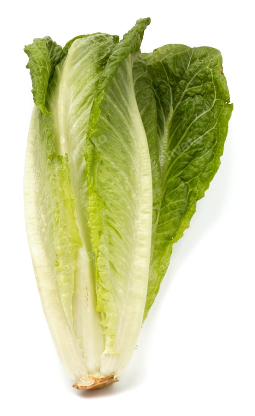 Preview: Fresh lettuce isolated on white