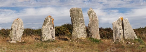 Preview: Row of the six menhirs of Vieux-Moulin - Old Mill - near Plouharnel in Brittany