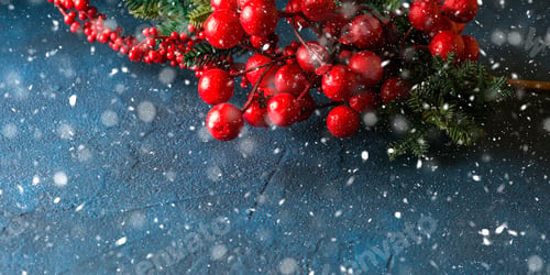 Preview: Christmas red branch snow fall greeting card