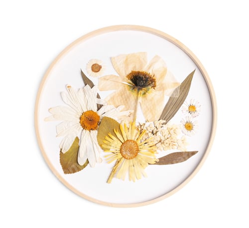 Preview: Beautiful dry flowers isolated on white, top view