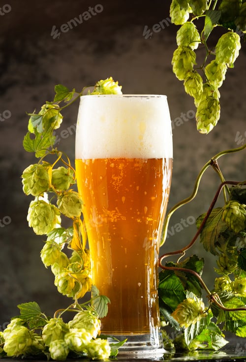 Preview: Glass of light beer with hops around on a dark background