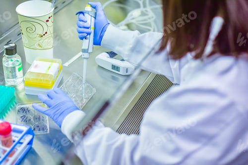 Preview: Woman scientist performing research work in biosafety cabinet