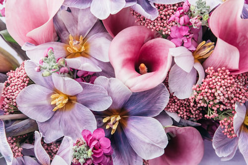 Preview: Red pink orange Autumn Colorful fall bouquet.