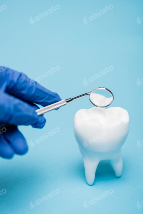 Preview: Cropped view of tooth model near dentist in latex glove holding mirror on blurred foreground on blue