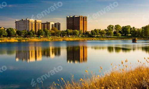 Preview: Grasses And Reflections In Druid Lake, At Druid Hill Park, Baltimore, Maryland.