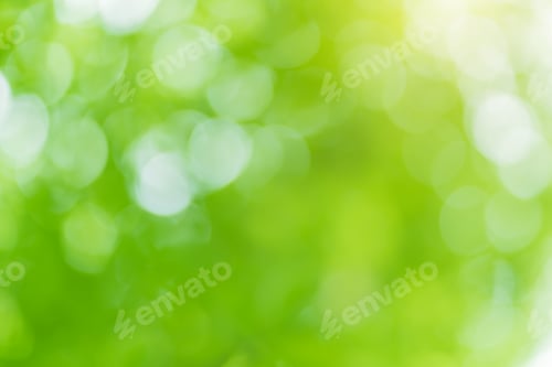 Preview: Bokeh foliage background.