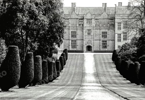 Preview: Black and white image of The Avenue, Montacute House in Somerset, United Kingdom