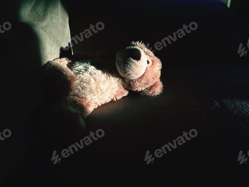 Preview: Teddy bear in natural light