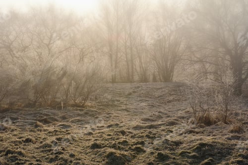 Preview: The sun is shining on this winters day. Shot of a scenic winter landscape.