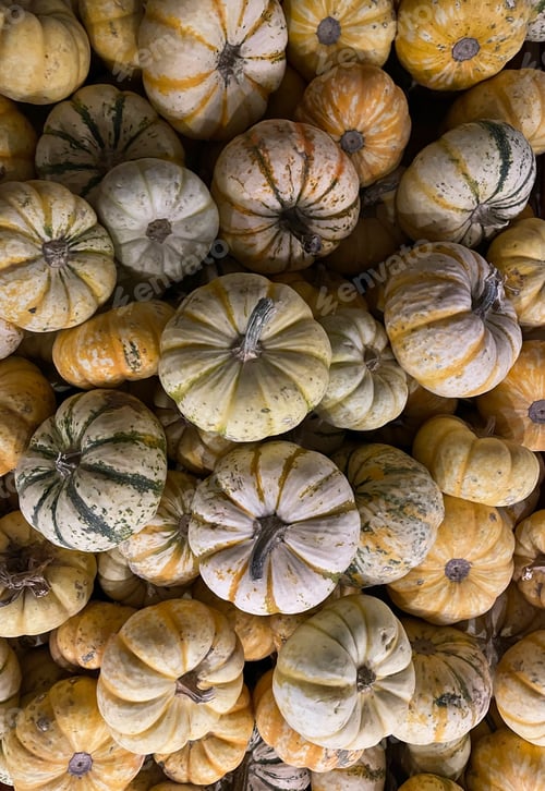 Preview: Pumpkins