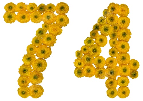 Preview: Arabic numeral 74, seventy four, from yellow flowers of buttercup, isolated on white background
