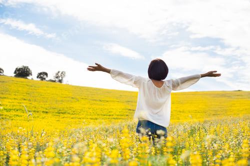 Preview: Woman in yellow field