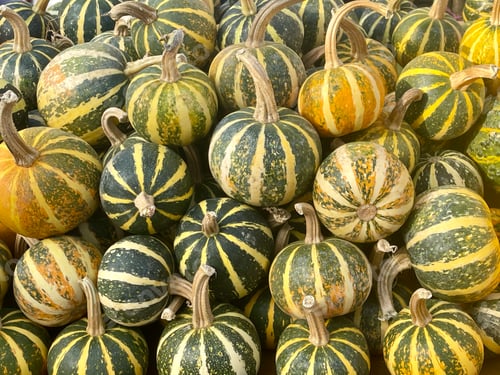 Preview: Autumn season