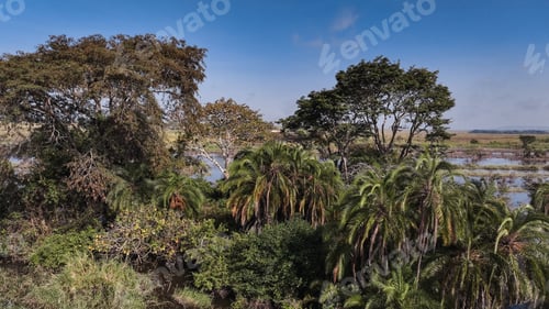 Preview: Aerial view of Angola\'s lush wild landscape with diverse vegetation and serene waterways