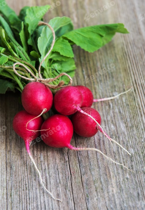 Preview: Bunch of radish