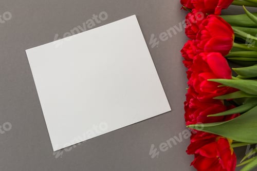 Preview: template for cards for birthday, Valentine's Day, Mother's Day, congratulations. Place for text. Red