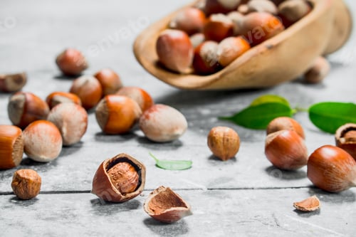 Preview: Hazelnut with green leaves .
