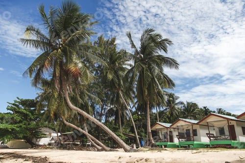 Preview: beautiful palm trees with shacks on tropical beach