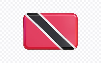 Preview: Trinidad and Tobago Flag Banner
