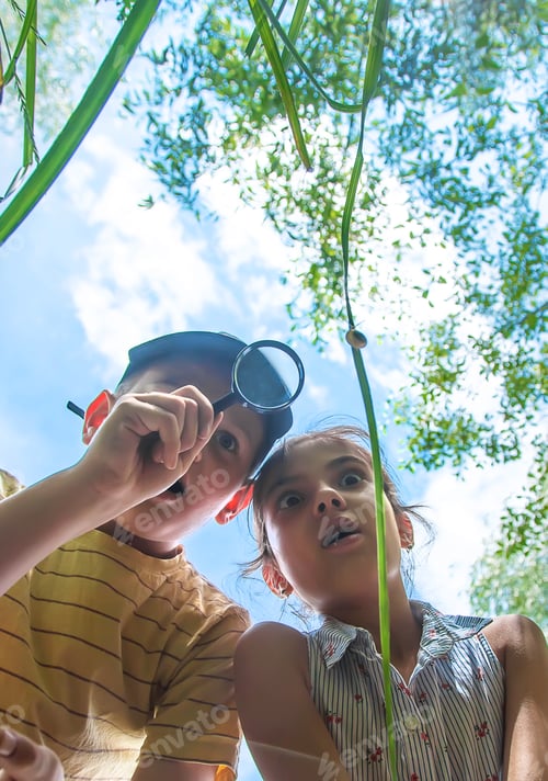 Preview: The child looks at the snail through a magnifying glass. Selective focus.