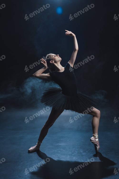 Preview: beautiful elegant ballerina dancing in pointe shoes and black tutu in studio with smoke