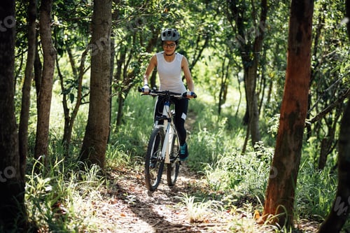Preview: Mountain biking in summer forest