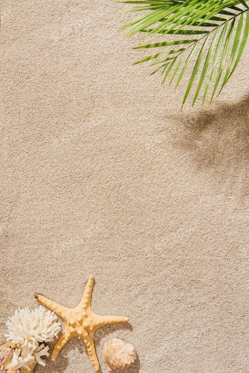 Preview: top view of palm branch over sandy beach