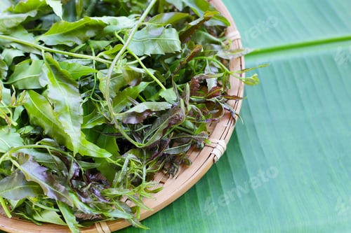 Preview: Neem leaves on wihte background.