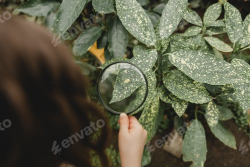 Preview: Portrait of a cute little girl looking at plants through a magnifying glass.