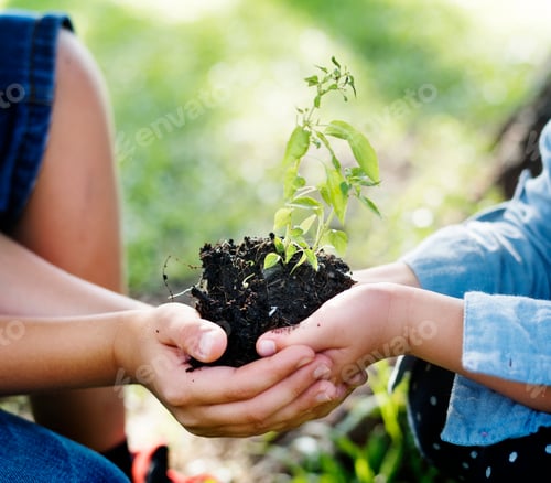 Preview: Family planting a new tree for the future