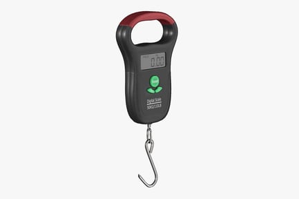 Preview: Portable Digital Scale - 50KG/110LB - with Hook