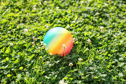 Preview: rainbow colored kids ball on a lawn on in a backyard. children toys, outdoor leisure