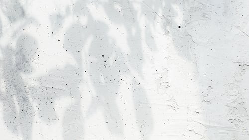 Preview: Shadow from leaves and shadow from tree branches on gray concrete background