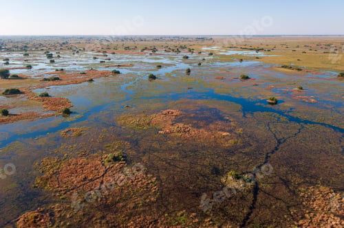 Preview: Aerial view of a lush wetland ecosystem at sunrise