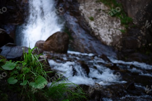 Preview: great full-blown Waterfall Shumka, Dombai, Karachay-Cherkessia, Russia