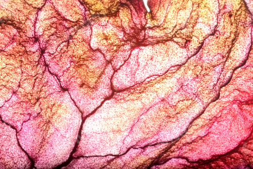 Preview: Dry Leaf Texture Abstract Background