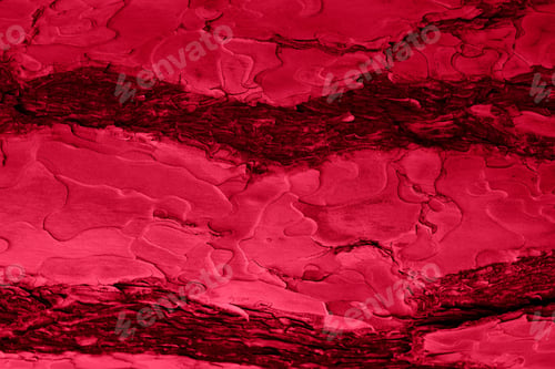 Preview: tree bark texture in the color of the year 2023 viva magenta