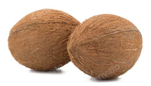 Preview: Coconuts isolated on white background