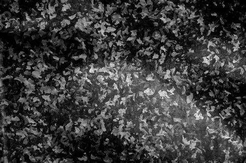 Preview: Abstract background from black zinc plate with sunlight.