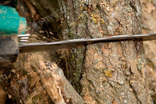 Preview: Man cutting piece of wood with chain saw.