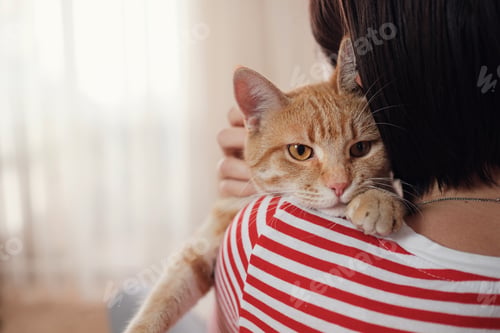 Preview: woman relaxing with her ginger pet on a sofa. Cosy scene, hygge concept.