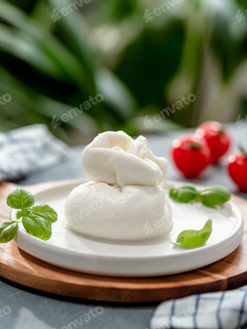Preview: Burrata cheese on plate, copy space. Gray background