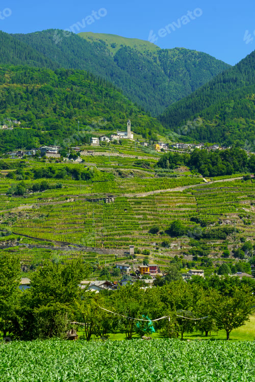 Preview: Landscape along the Sentiero della Valtellina, Italy, from the cycleway