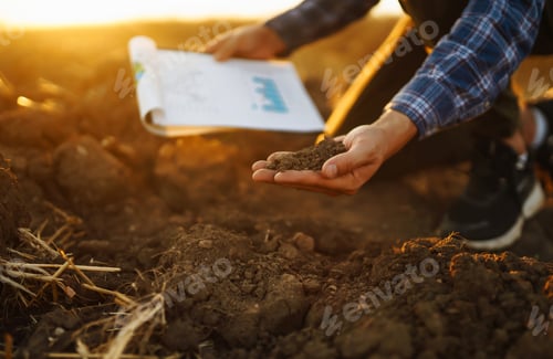 Preview: Hand of farmer collect soil, checking soil health before growth seed of vegetable Harvesting concept