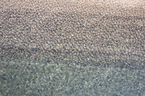 Preview: The transparency and shape of the sea waves