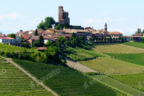 Preview: Vineyards of Langhe, Piedmont, Italy near Alba at May. Serralunga