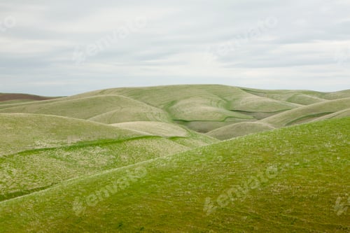 Preview: Rolling green hills in Central Oregon in spring, view from a height.