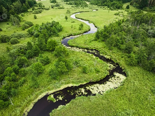 Preview: Small river and swamps in summer, aerial view