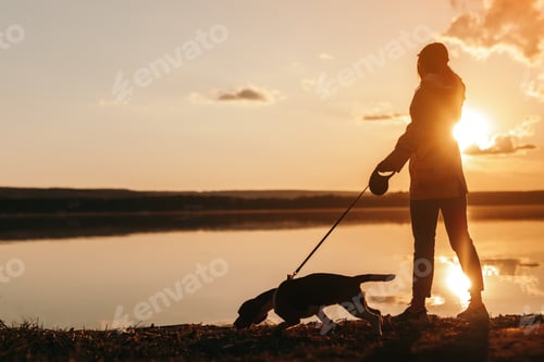Preview: Unrecognizable woman walking with dog near pond